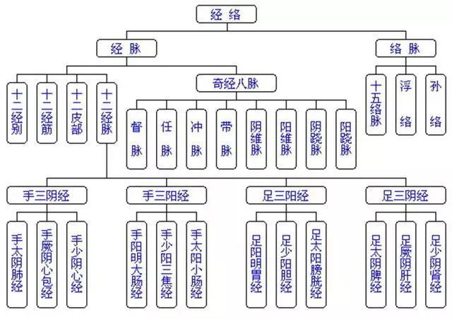 经络中医的灵魂