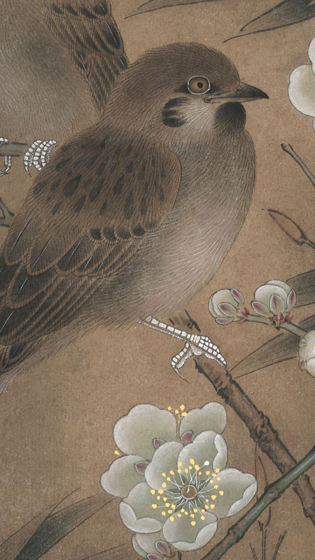【新作】李晓明《临宋梅竹戏雀图》,附绘制步骤及高清