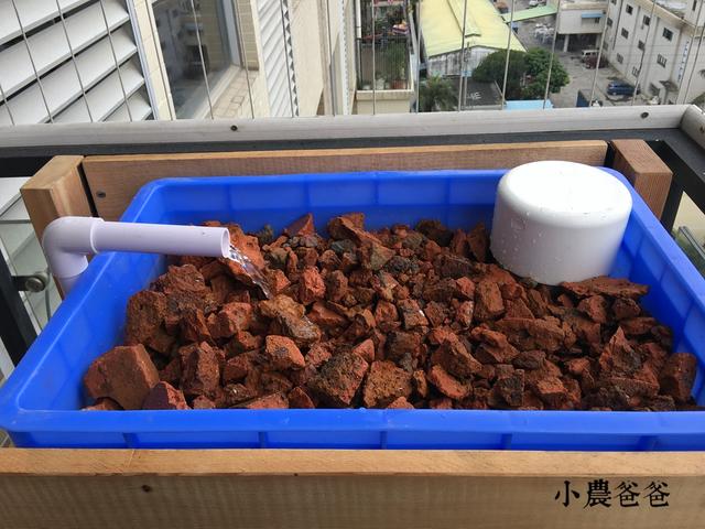 不理解"鱼菜共生"系统的虹吸装置,我一步一步告诉你怎么制作