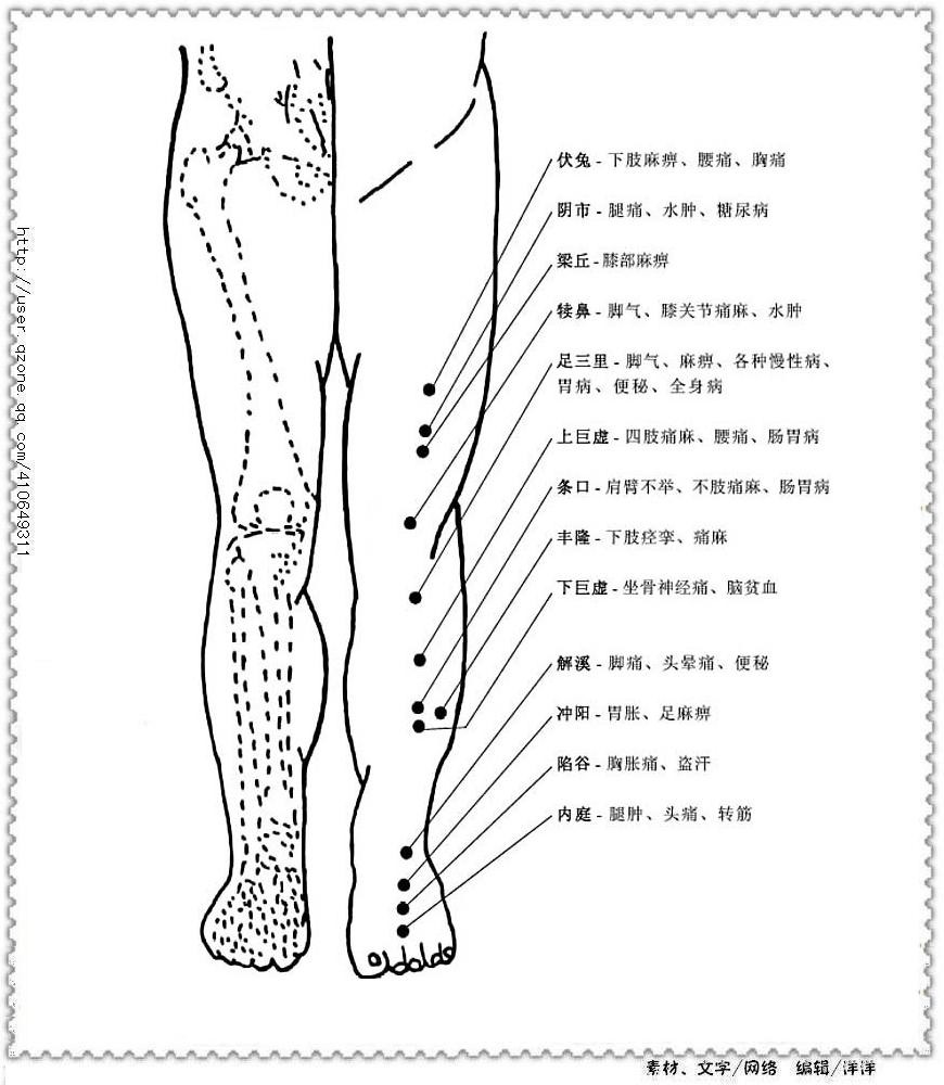 人体360个穴位位置及主治疾病大全组图