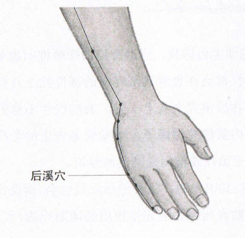后溪穴怎么找呢?