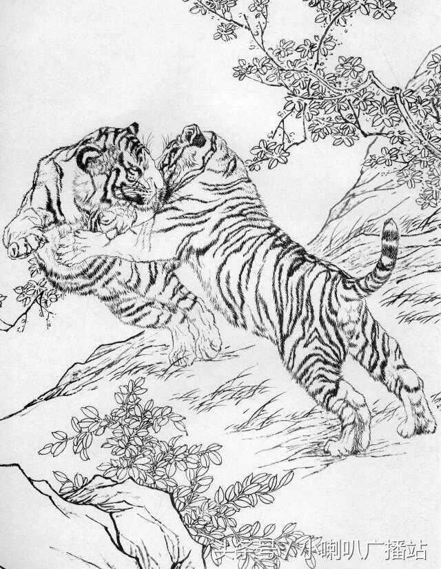 虎虎生威,线描工笔虎手绘收藏版
