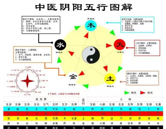 经络与时辰对照表十二时辰对应的经络