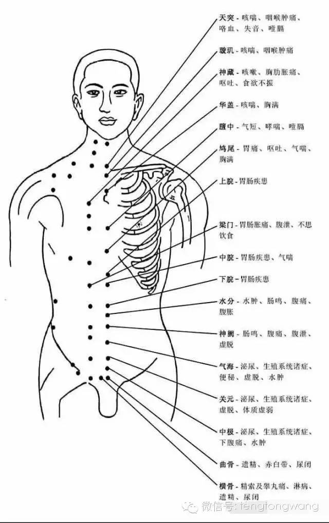 非常完整的人体穴位图与功效