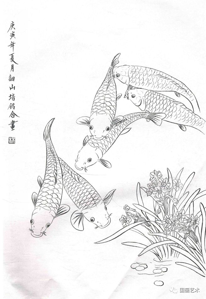 图文教程工笔锦鲤画法与白描画稿