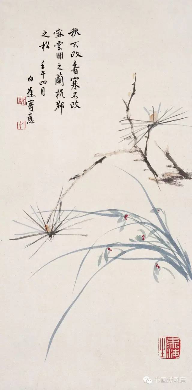 白蕉的蘭花,好迷人!