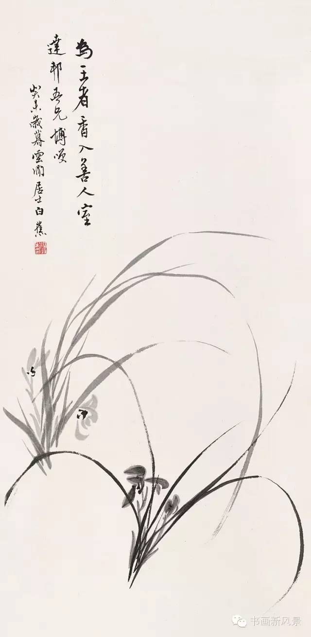 白蕉的兰花,好迷人!