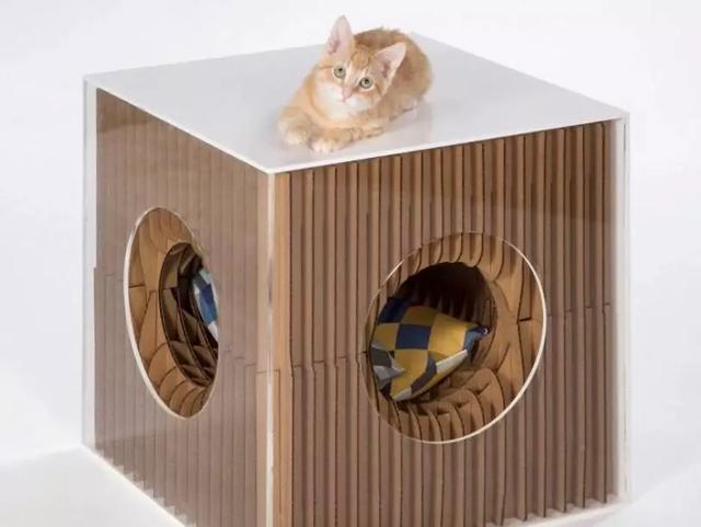 公益界创造101设计出道暖喵咚咚猫窝设计大赛开启