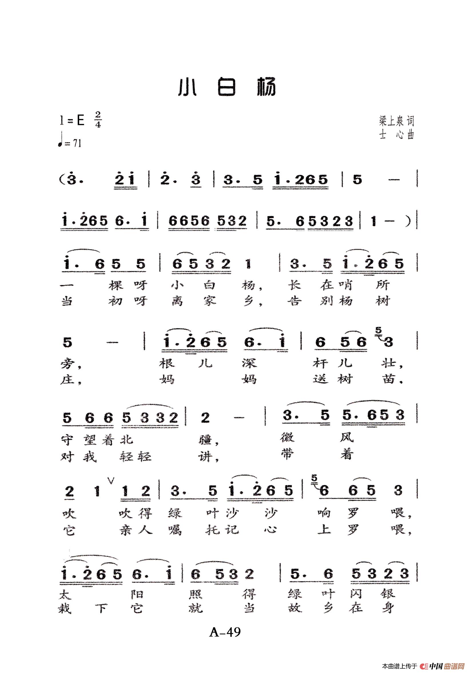 小白杨老人适用还不错个人制谱园地中国曲谱网