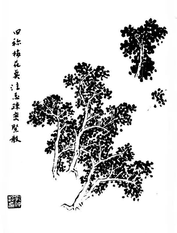 百树谱太实用了收藏备用