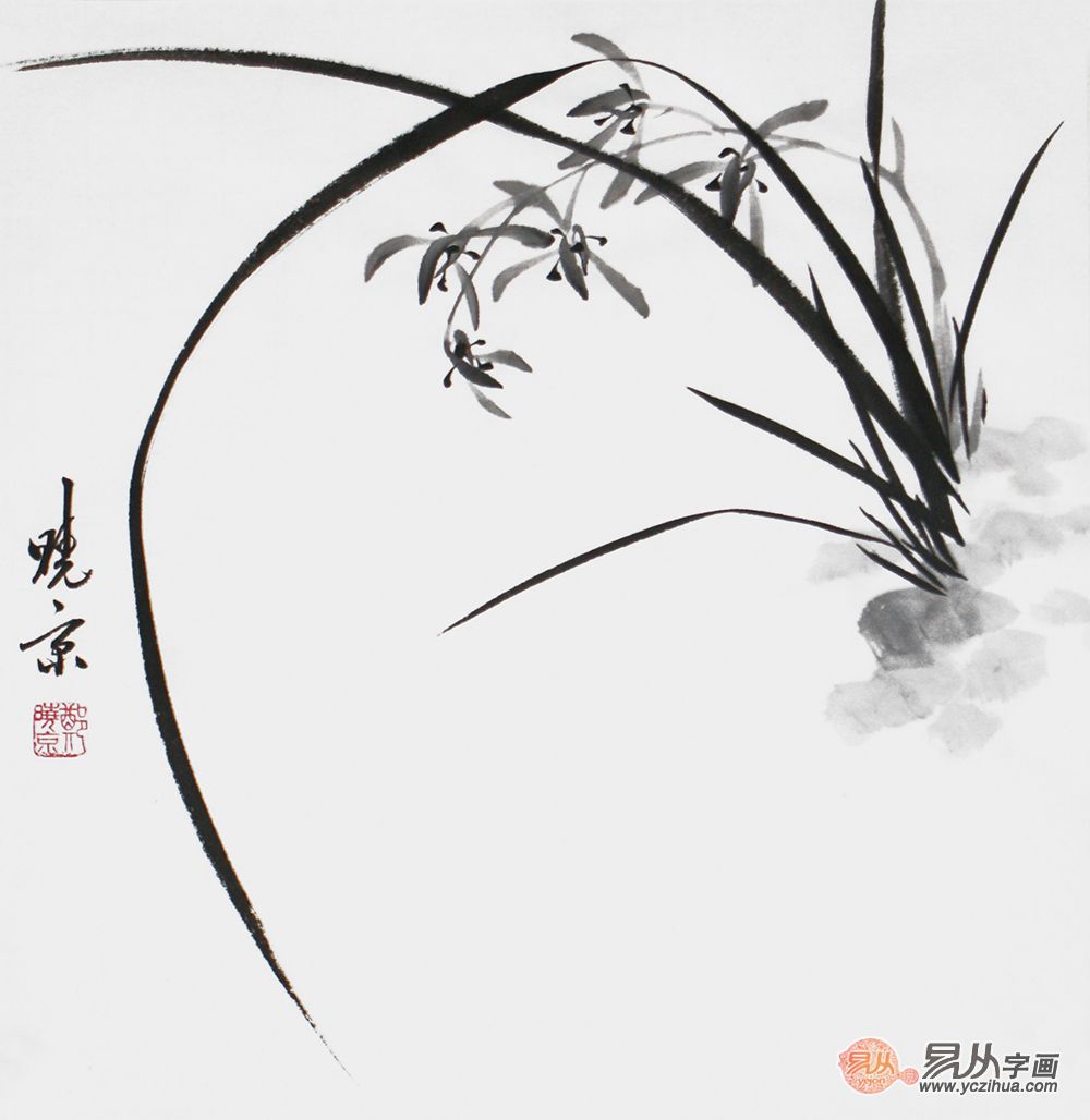 郑晓京老师写意兰花图观画即是一种享受