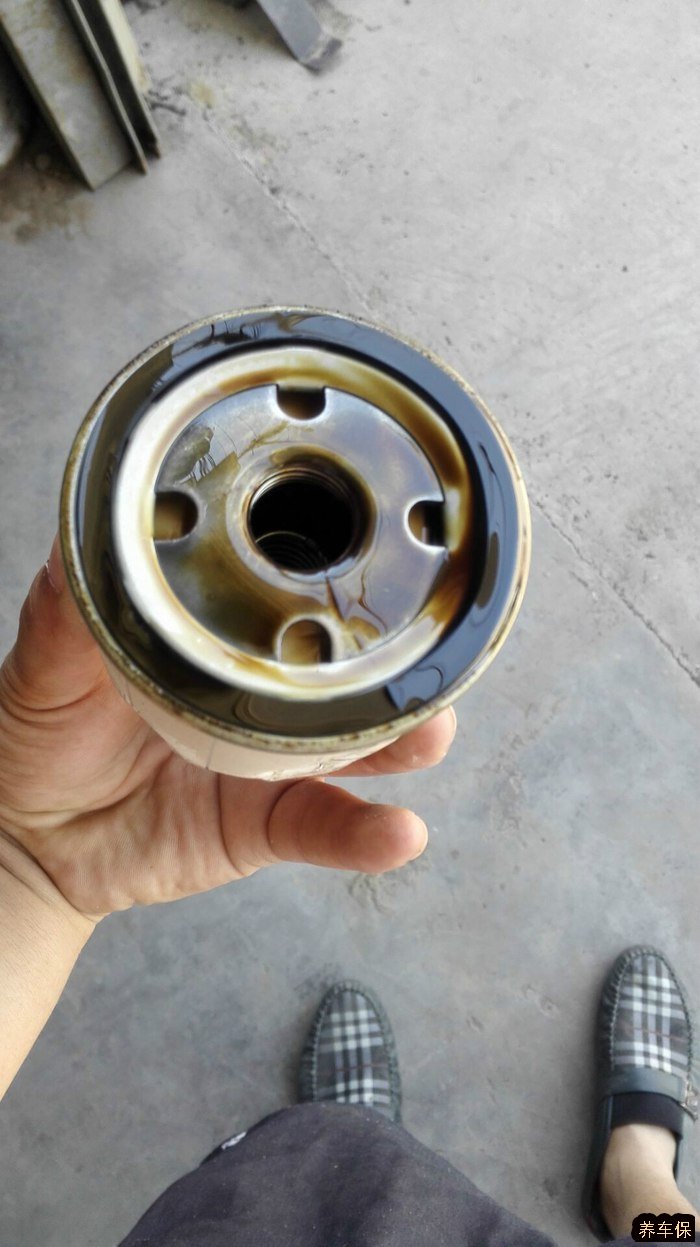 新蒙迪欧更换机油机滤过程记录