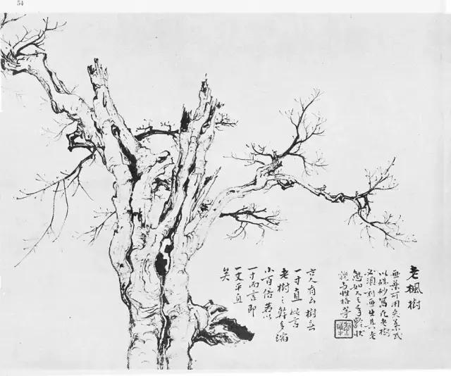 岭南大师黎雄才国画树课徒稿全图