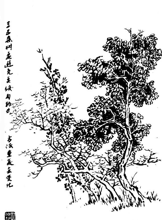 百树谱太实用了收藏备用