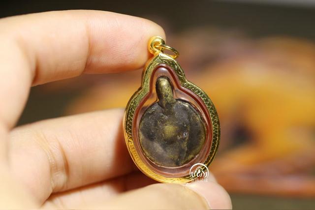 龙婆银财龟龙婆银招财龟龙婆银招财龟介绍