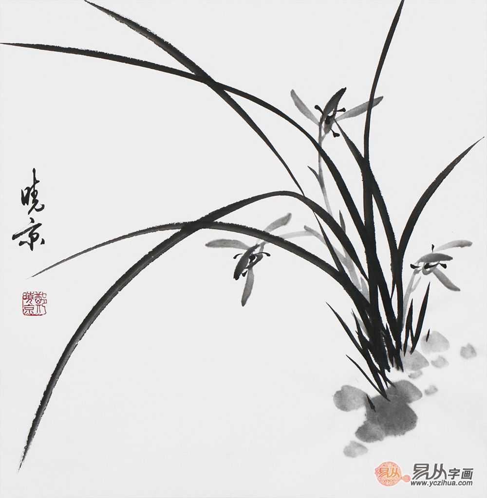 郑晓京老师写意兰花图观画即是一种享受