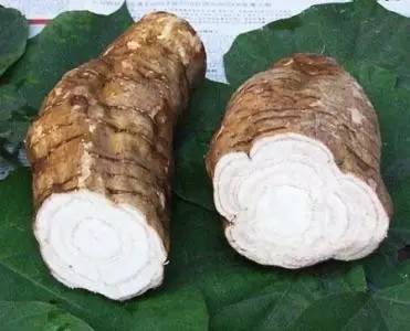 葛根是个宝7大功效不只是丰胸那么简单