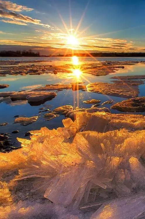 中国花鸟风景图张张都是大自然的杰作震撼人的心灵