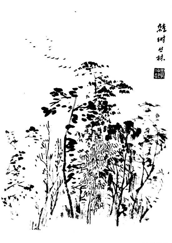 百树谱太实用了收藏备用