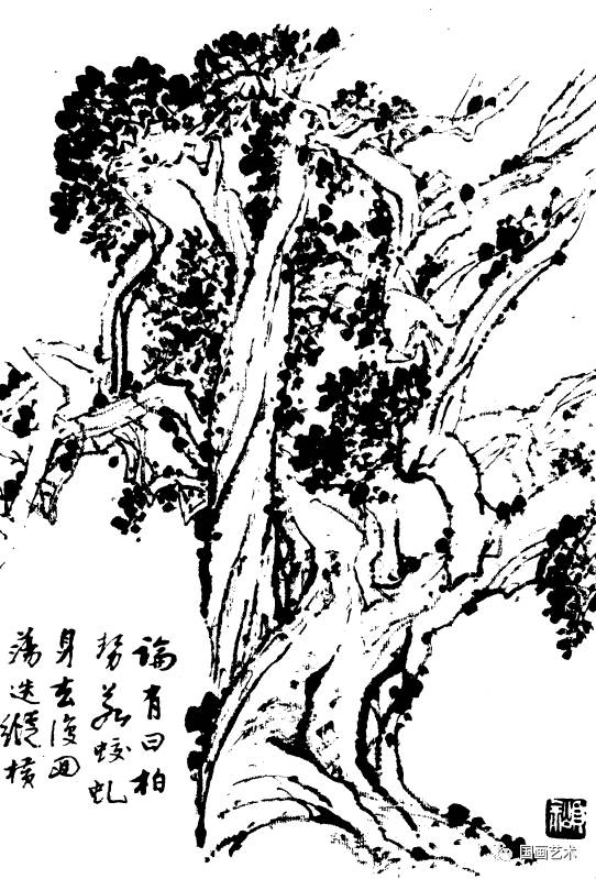 百树谱太实用了收藏备用