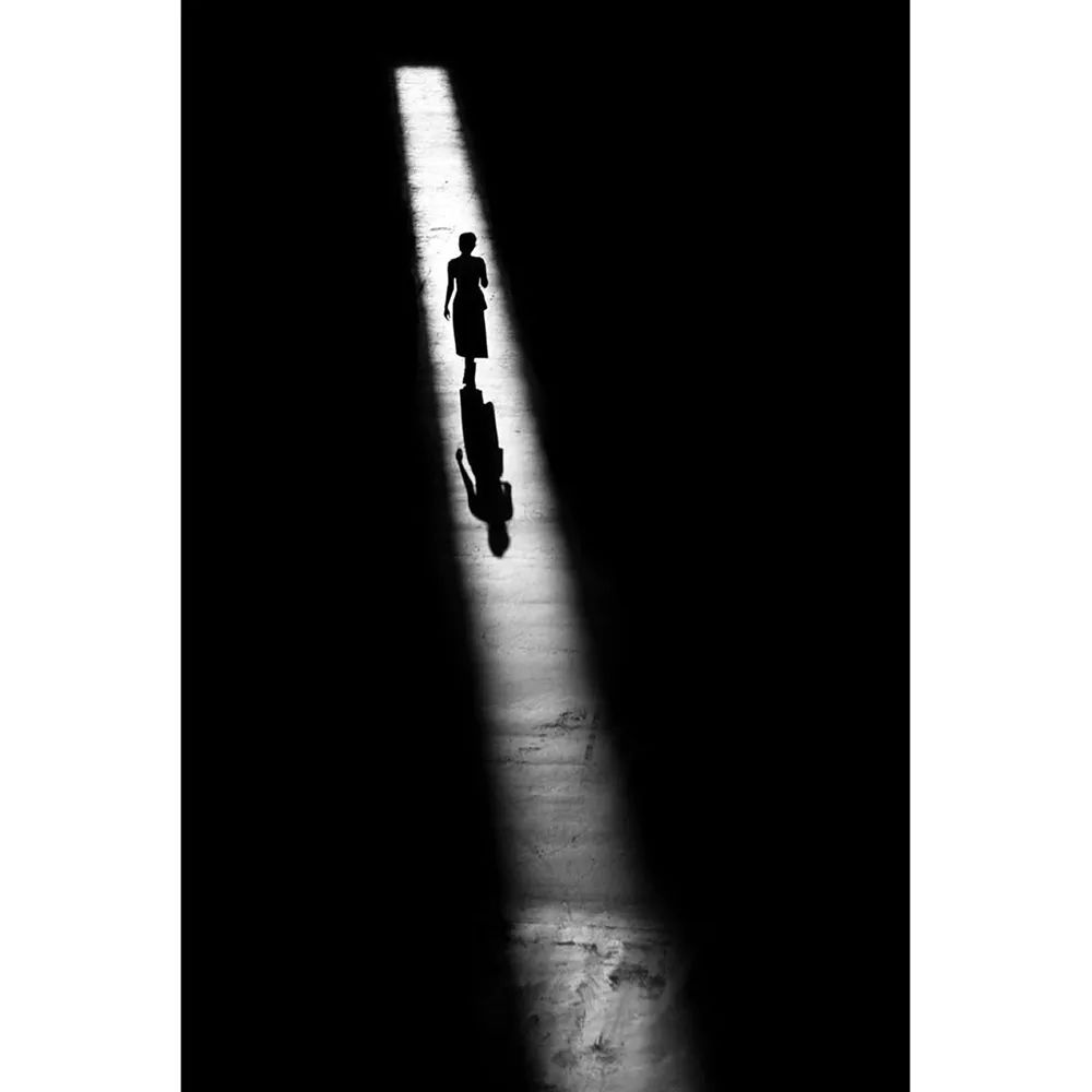 黑白世界丨alanschaller