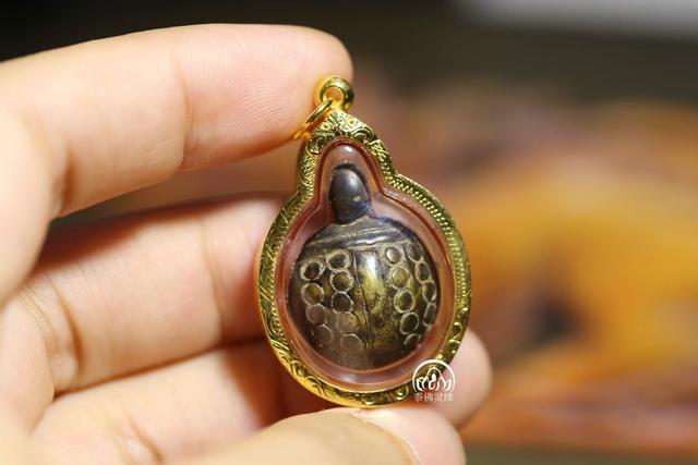 龙婆银财龟龙婆银招财龟龙婆银招财龟介绍