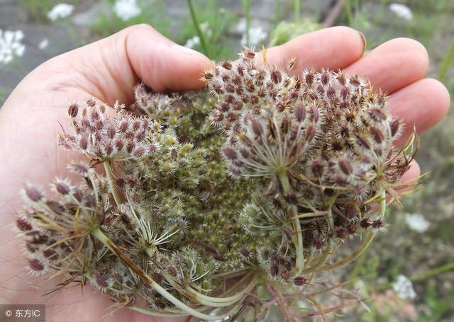 各种疾病的必用药总结表,建议收藏