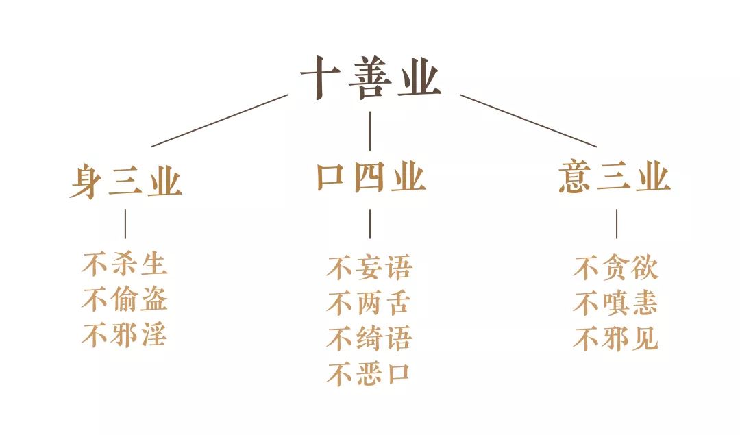 在《佛说十善业道经》中,释迦牟尼佛开示了,十种应该奉行的善业