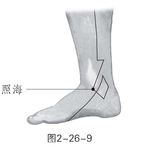《求医不如求己家庭医学全书(近200种家庭常见疾病的自助调治方案)