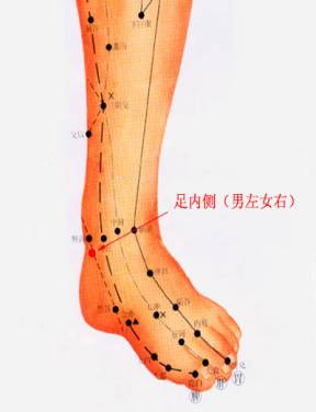 腿脚穴位彩谱一足六经五脉