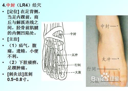 中醫經絡知識之足厥陰肝經圖解