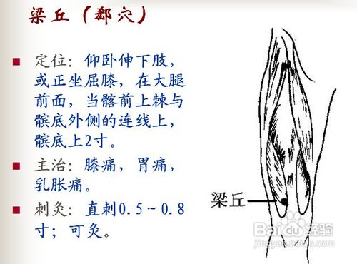 中醫經絡知識之足陽明胃經圖解