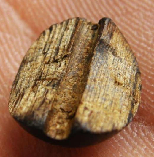 教你如何辨别真假沉香