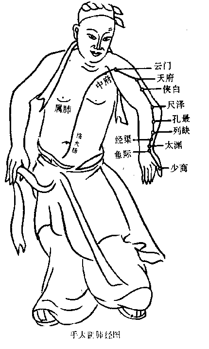 人體經絡全圖收藏