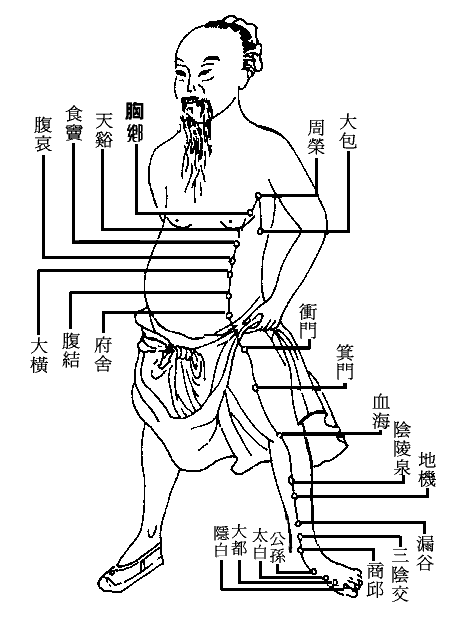 人體經絡全圖收藏