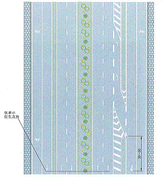 交通指示標線