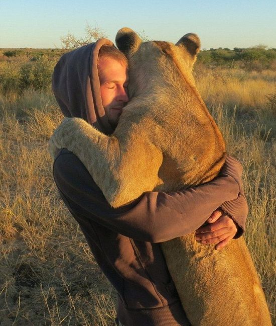 狮子男抱我抱的特别紧图片
