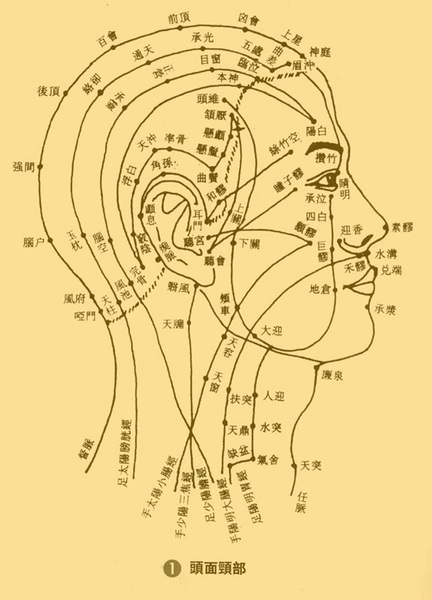 手腳頭耳等自我保健各器官對應穴位圖詳解