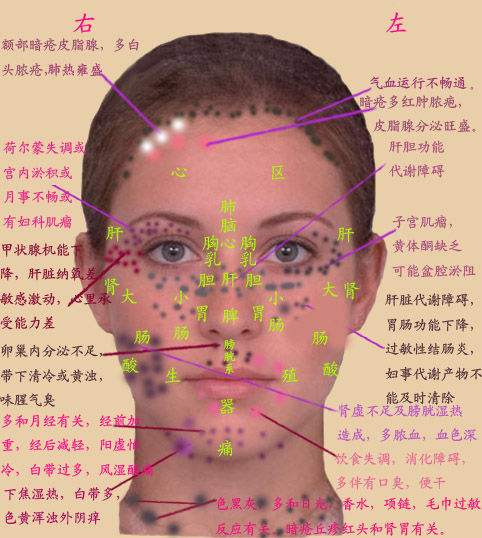 人体穴位大挂图 (转载)