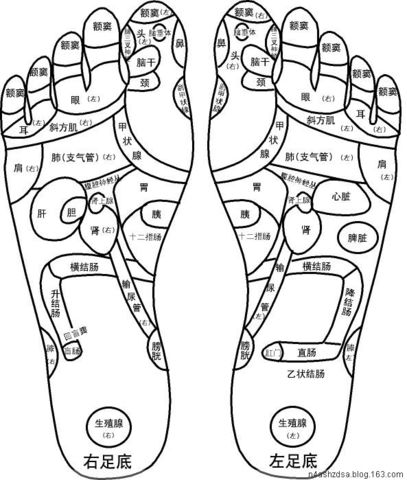 第二掌指骨侧全息疗法