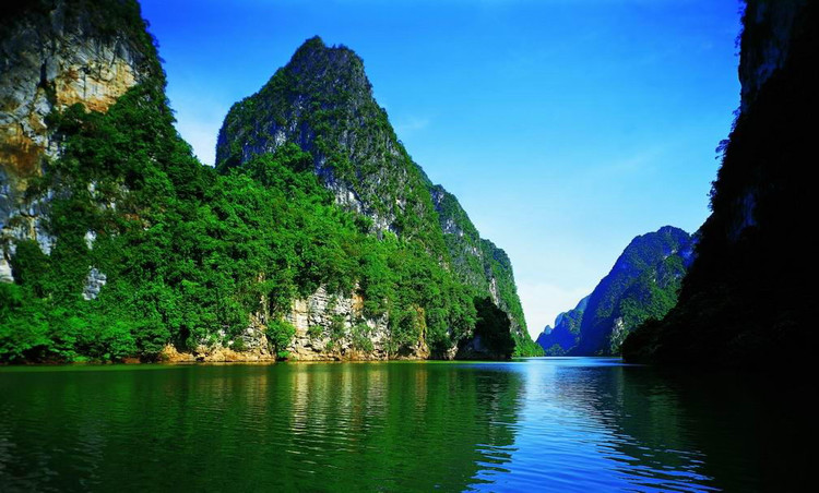 养眼醒目对眼睛有好处的桌面