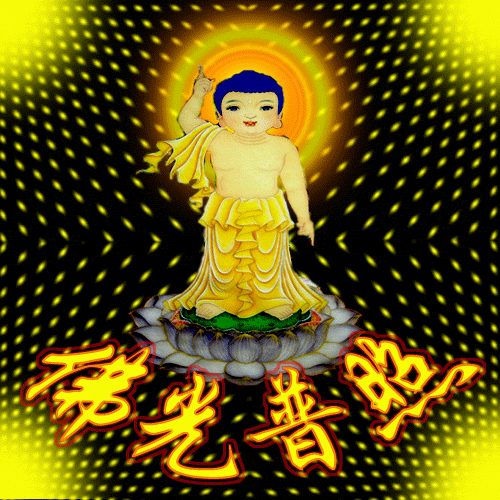 500_500gif 动态图 动图