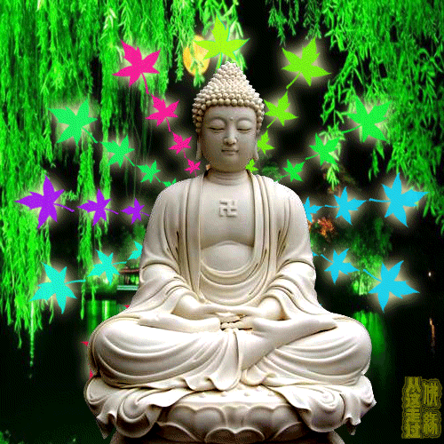 500_500gif 动态图 动图