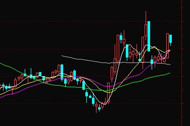 金螃蟹形态图解图片