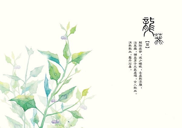 手绘本草,药性之美![好网角文章收藏]