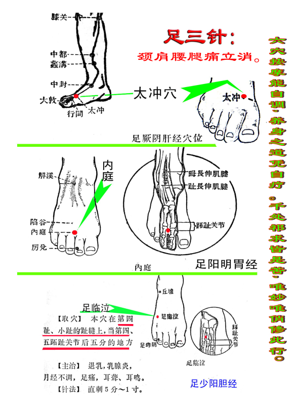 手足三针秘旨