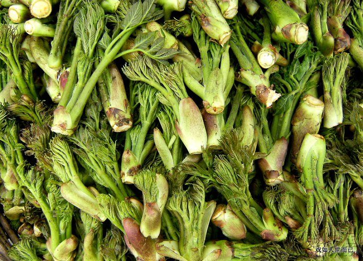 刺嫩芽凉拌刺嫩芽水煮29,野菱角菱角又名水栗,菱实,是一年生草本水生