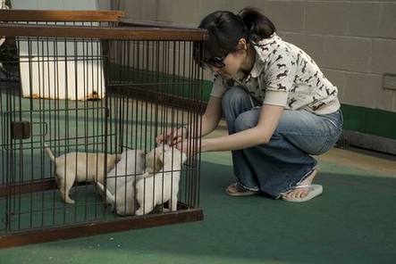 奇养宠物有助治疗疾病是科学还是扯淡