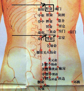 人体后面腰疼痛位置图图片