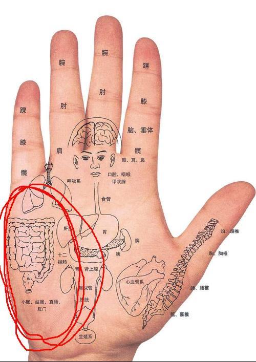 重点按摩位于手掌侧小指第一指节的肾穴和第二指节的命门